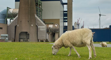 Duurzaam watermanagement & duurzame relaties